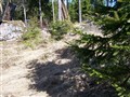 100_0078.JPG