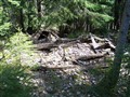100_0085.JPG