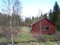 100_0478.jpg