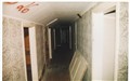 20100530.jpg