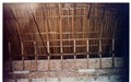 20100539.jpg